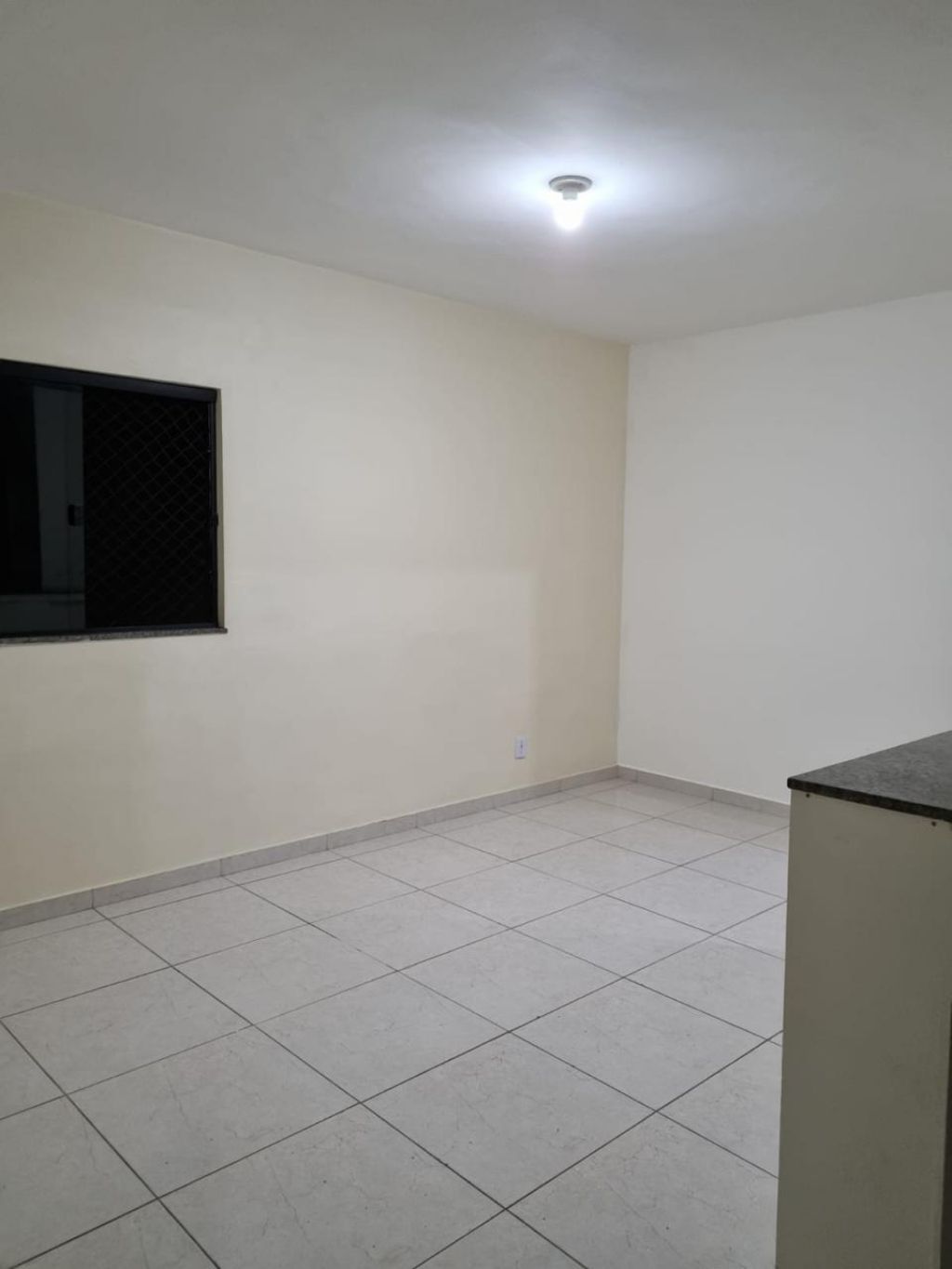 Apartamento à venda com 2 quartos, 50m² - Foto 4