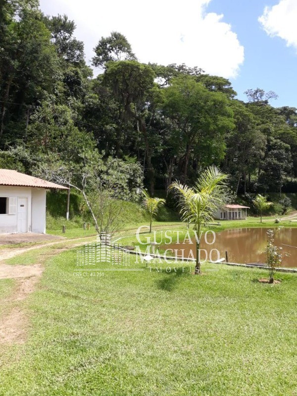 Sítio à venda com 5 quartos, 4000m² - Foto 23