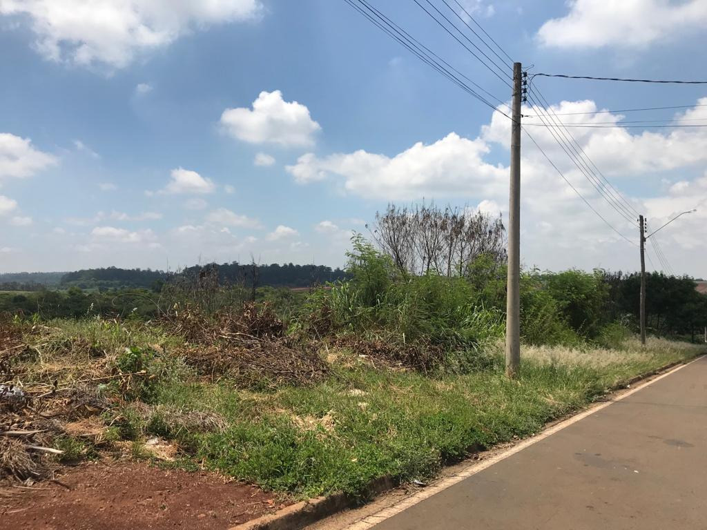 Loteamento e Condomínio à venda, 2500m² - Foto 3