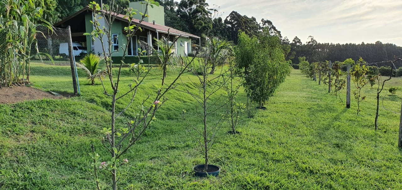 Sítio à venda com 5 quartos, 480m² - Foto 25