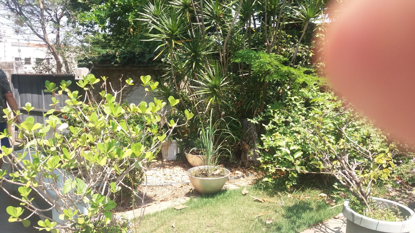 Casa, 3 quartos, 230 m² - Foto 15