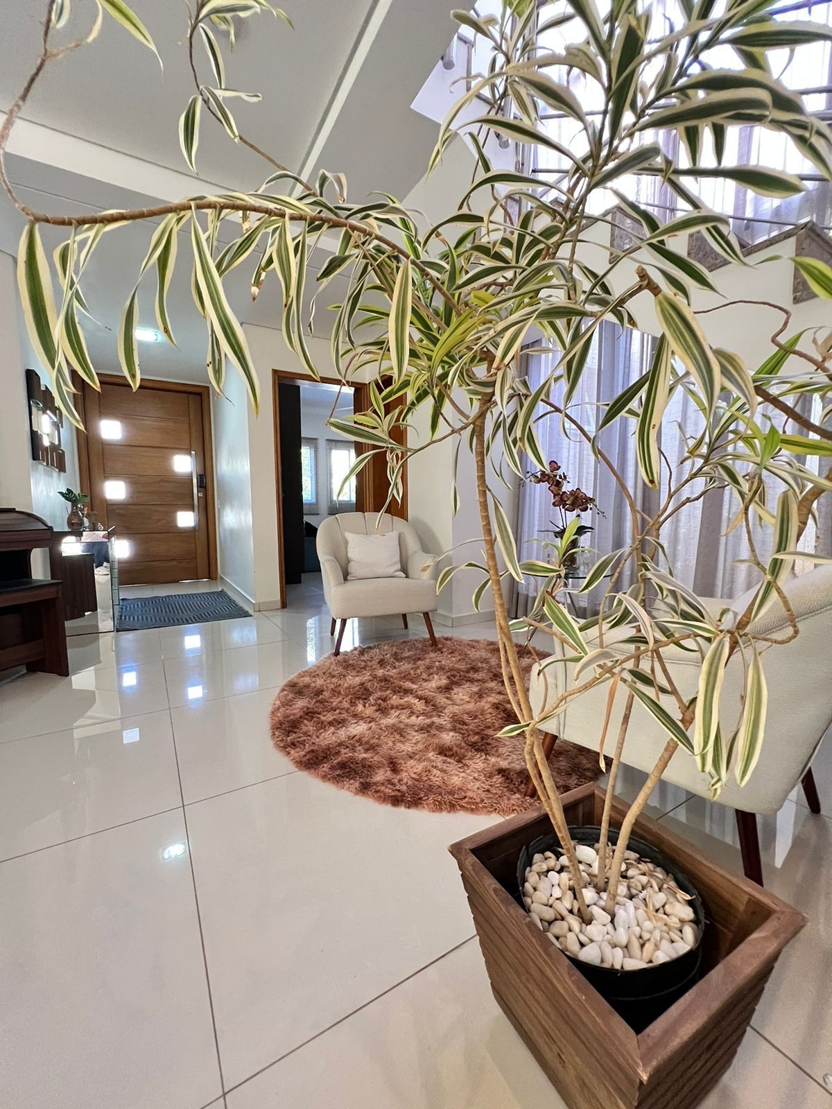 Casa, 3 quartos, 270 m² - Foto 5