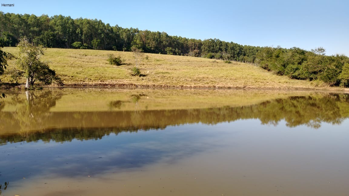 Sítio, 500 m² - Foto 2