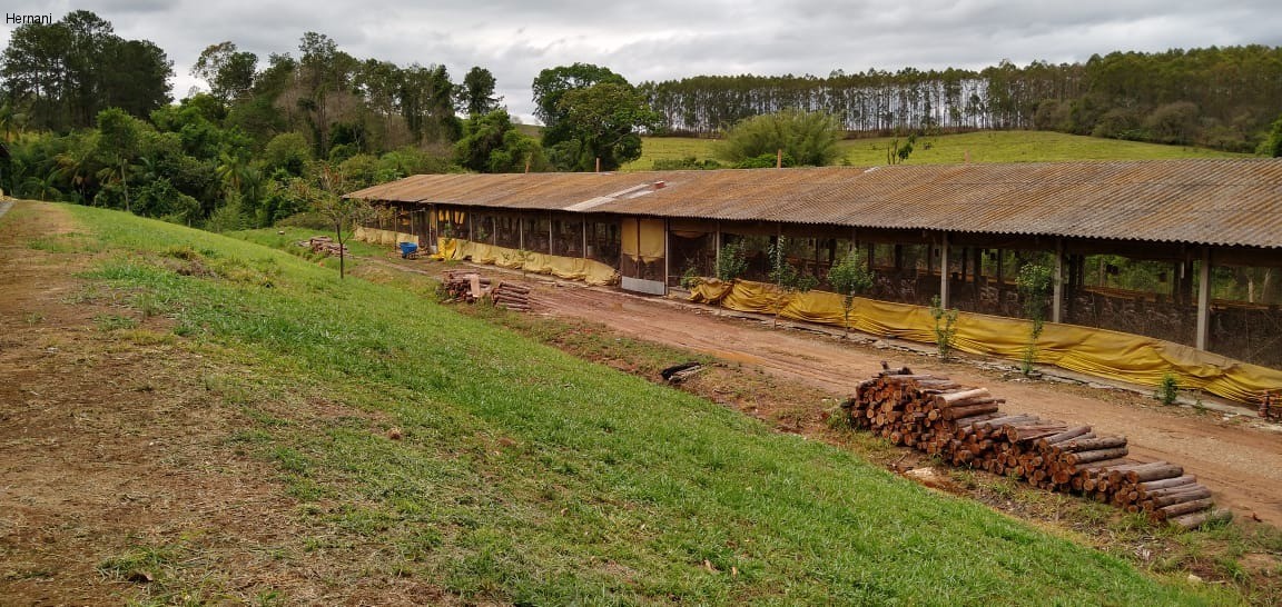 Sítio, 500 m² - Foto 4