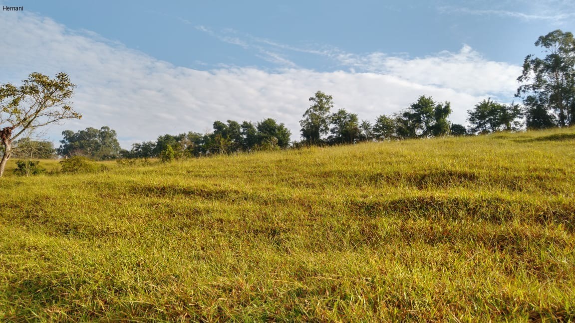 Sítio, 500 m² - Foto 13