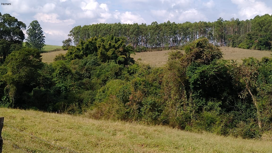 Sítio, 500 m² - Foto 19