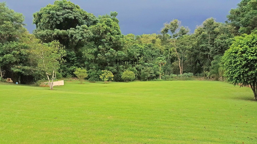 Casa, 4 quartos, 700 m² - Foto 16