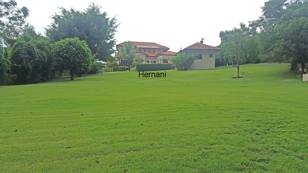Casa, 4 quartos, 700 m² - Foto 17