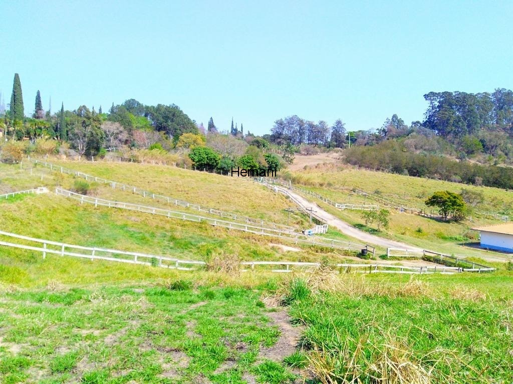 Fazenda à venda com 3 quartos, 48800m² - Foto 5