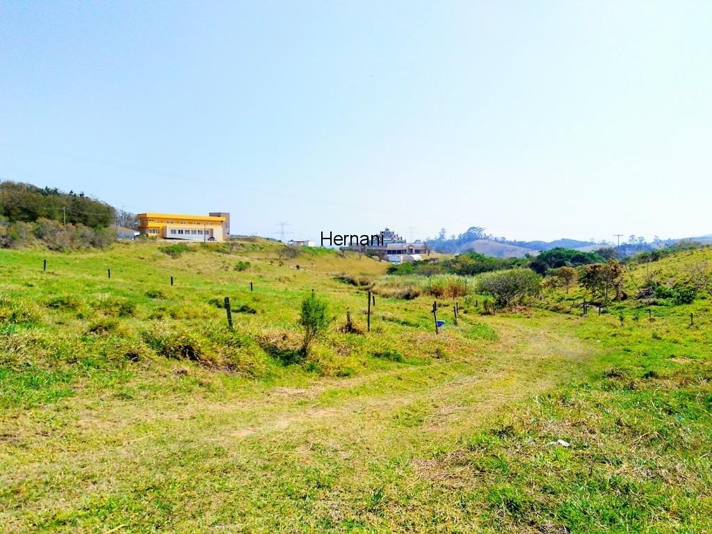 Fazenda à venda com 3 quartos, 48800m² - Foto 11