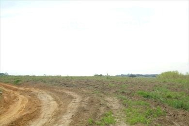 Sítio, 97 hectares - Foto 7