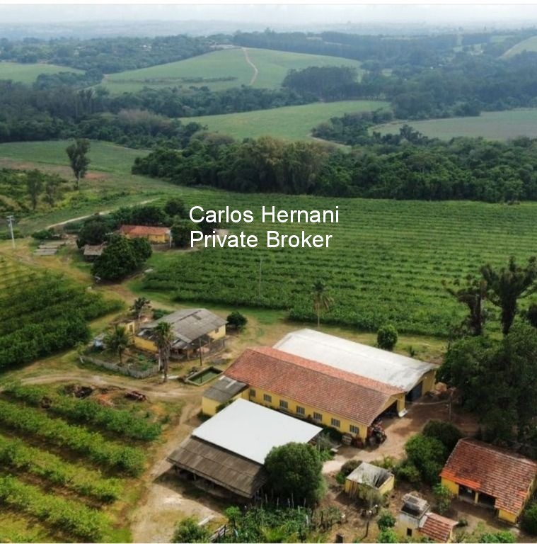 Sítio, 87 hectares - Foto 1