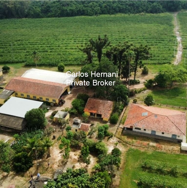 Sítio, 87 hectares - Foto 2