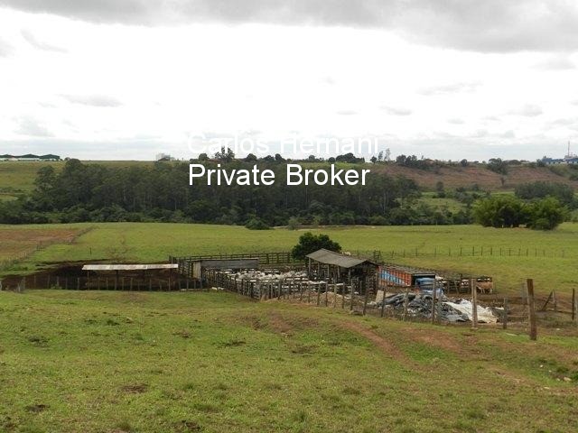 Fazenda, 230 hectares - Foto 13