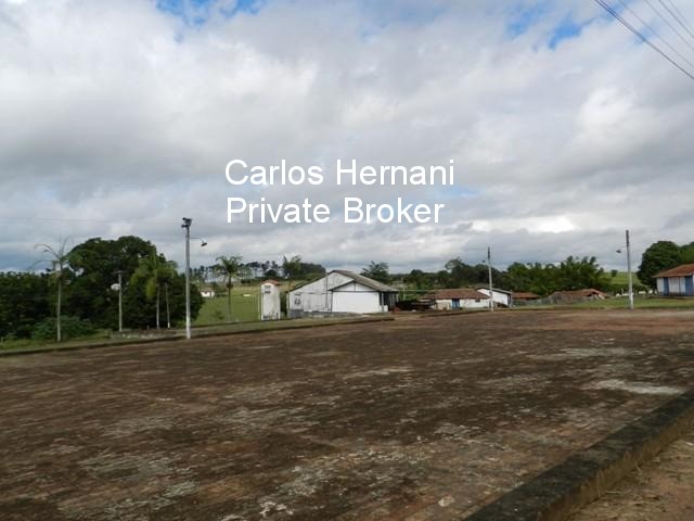 Fazenda, 230 hectares - Foto 8