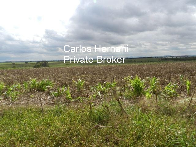 Fazenda, 230 hectares - Foto 12