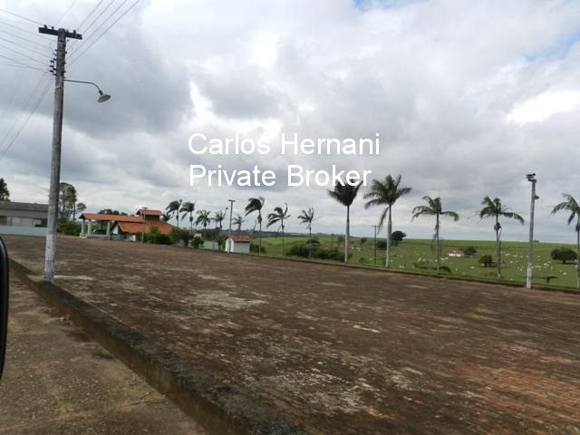 Fazenda, 230 hectares - Foto 7