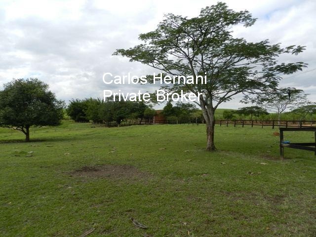 Fazenda, 230 hectares - Foto 1