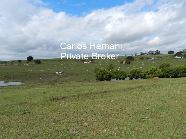 Fazenda, 230 hectares - Foto 3