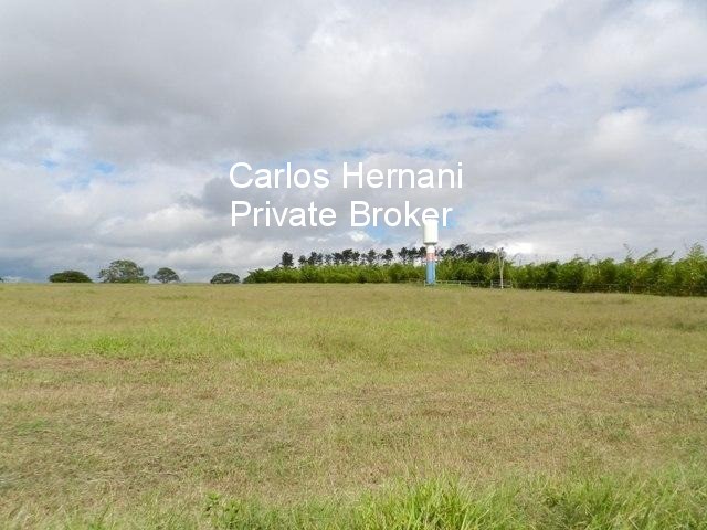 Fazenda, 230 hectares - Foto 10