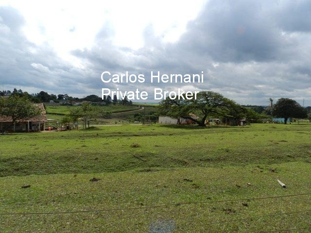Fazenda, 230 hectares - Foto 11