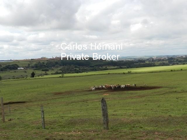 Fazenda, 230 hectares - Foto 14