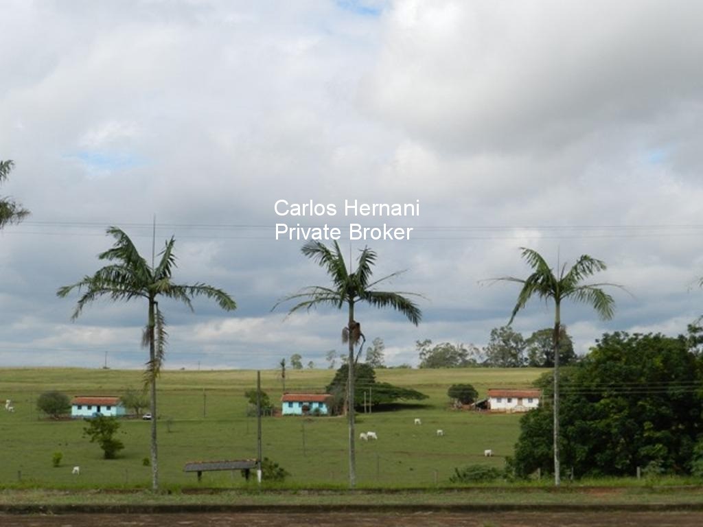 Fazenda, 230 hectares - Foto 9