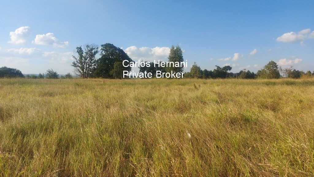 Fazenda - Foto 3