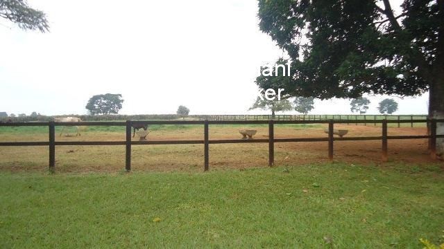 Haras e Área Rural Padrão à venda - Foto 12