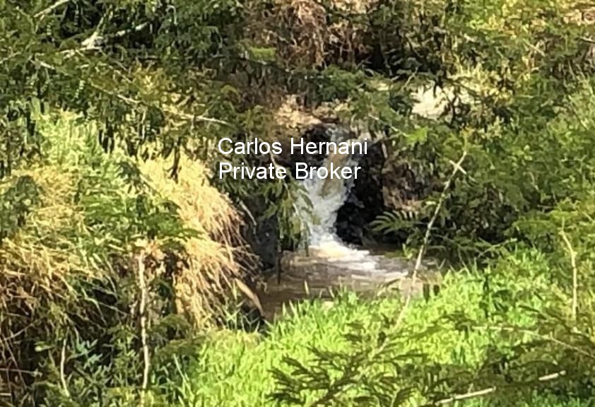 Fazenda, 440 hectares - Foto 11