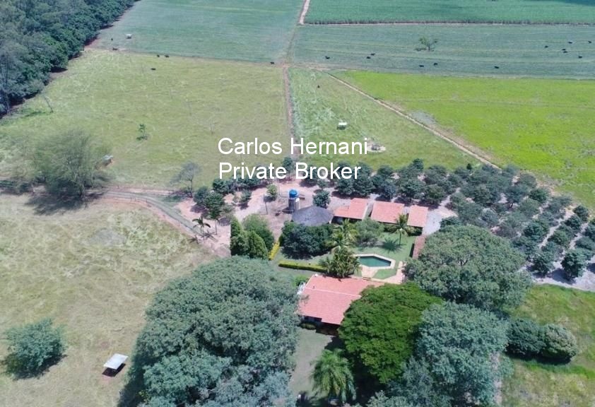 Fazenda, 440 hectares - Foto 2