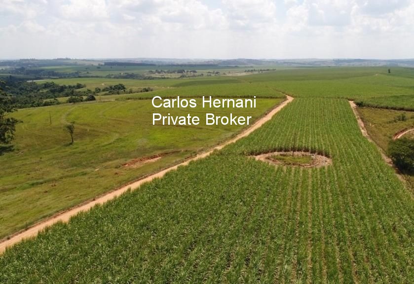 Fazenda, 440 hectares - Foto 14