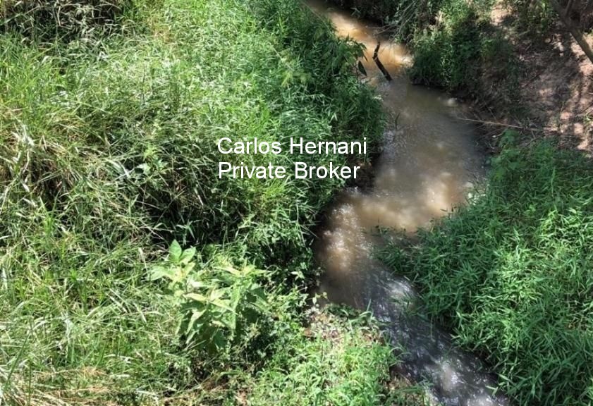 Fazenda, 440 hectares - Foto 6