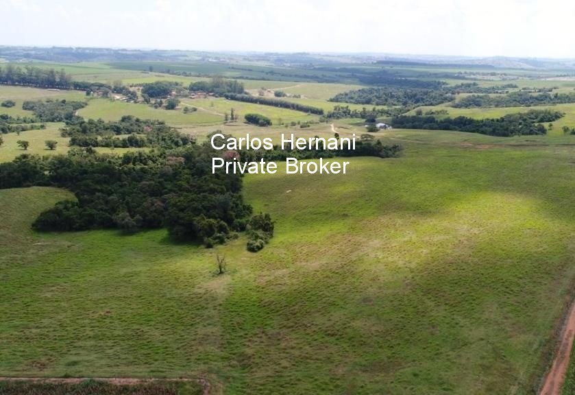 Fazenda, 440 hectares - Foto 16