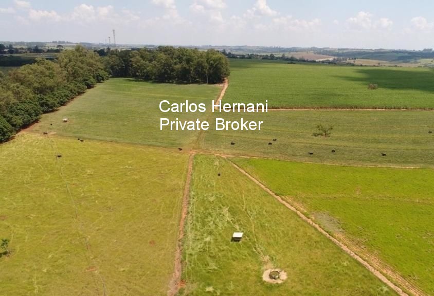 Fazenda, 440 hectares - Foto 15