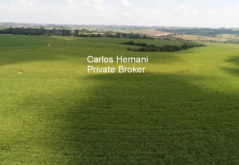 Fazenda, 440 hectares - Foto 23