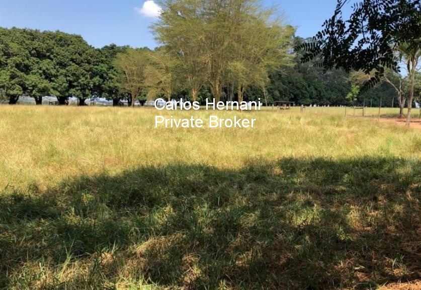 Fazenda, 440 hectares - Foto 5