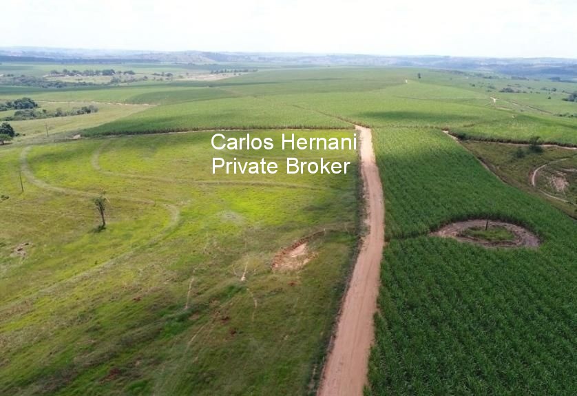 Fazenda, 440 hectares - Foto 20