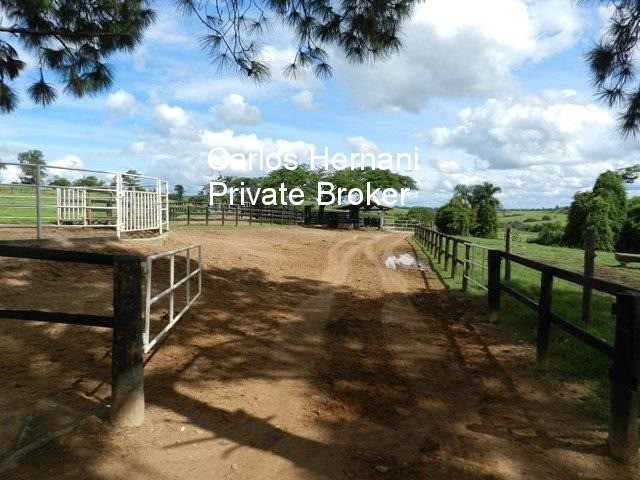 Haras e Área Rural Padrão à venda - Foto 41