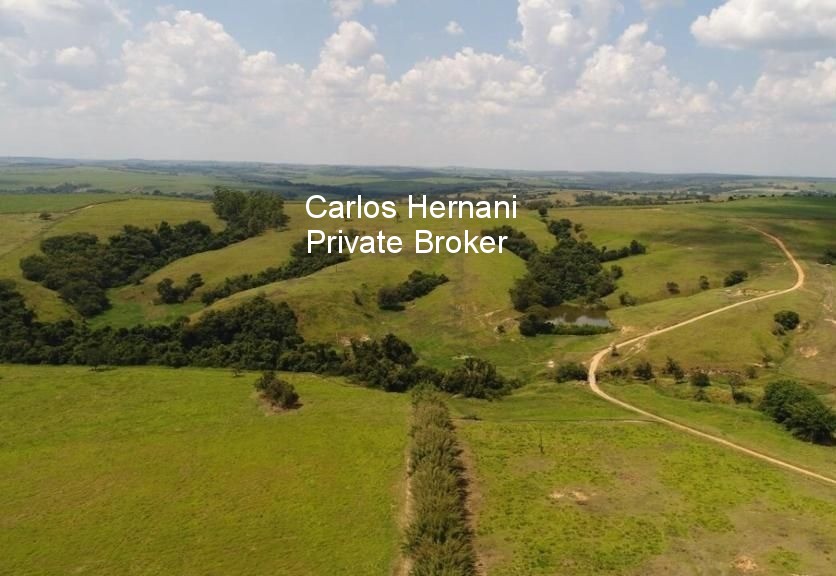 Fazenda, 440 hectares - Foto 13
