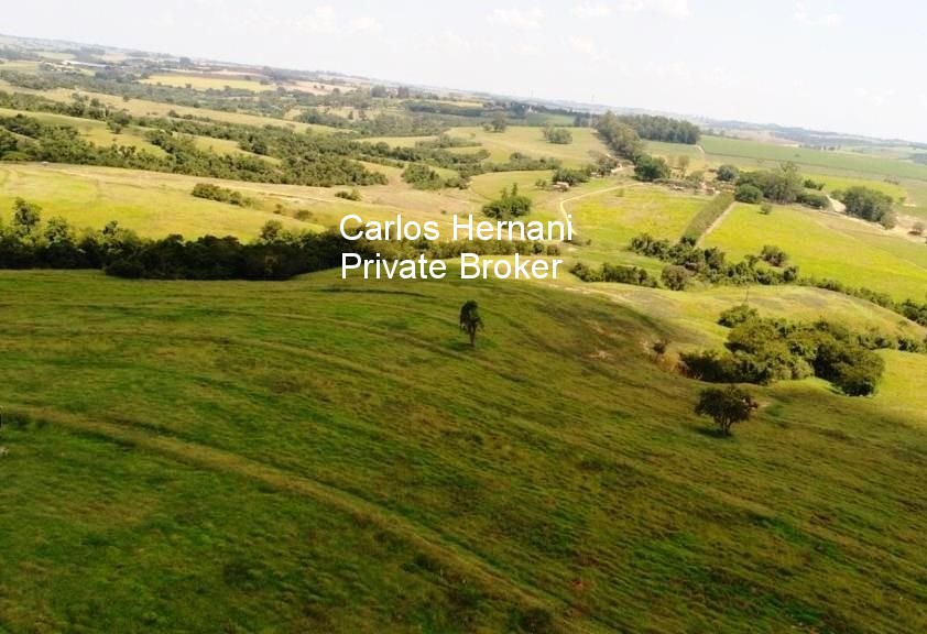 Fazenda, 440 hectares - Foto 25