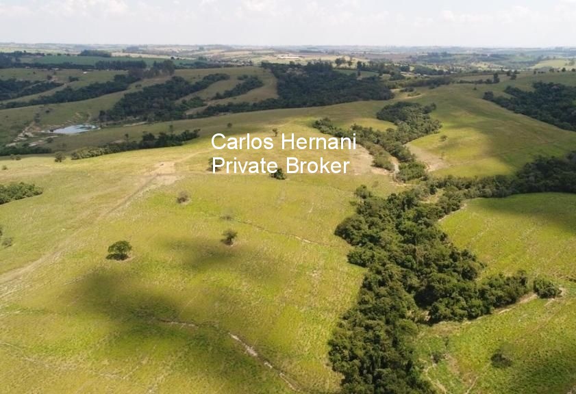 Fazenda, 440 hectares - Foto 19