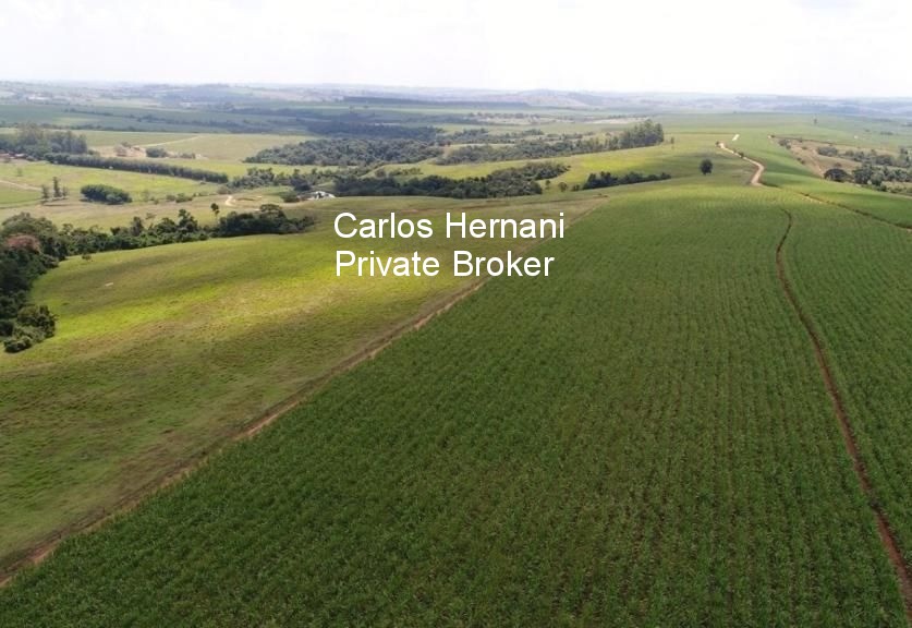 Fazenda, 440 hectares - Foto 21