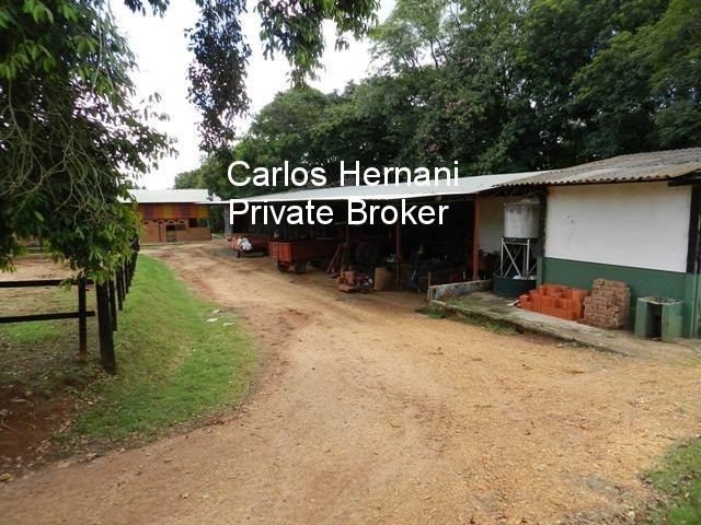 Haras e Área Rural Padrão à venda - Foto 37