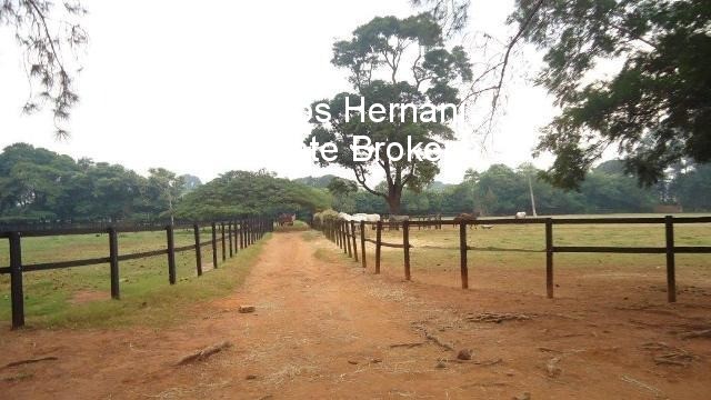 Haras e Área Rural Padrão à venda - Foto 14