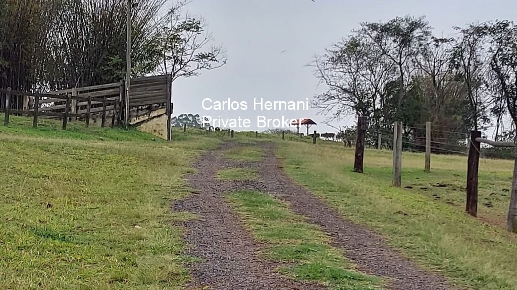 Fazenda à venda com 4 quartos - Foto 3