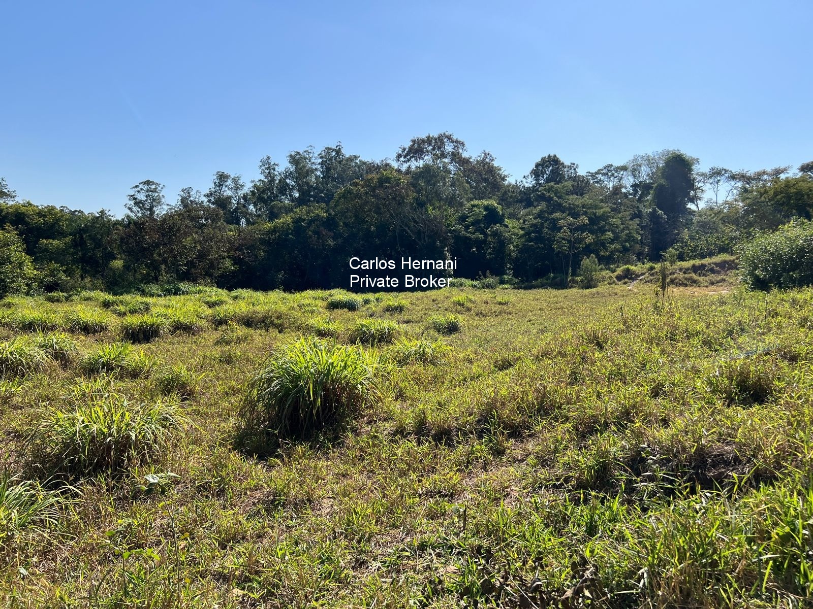 Terreno à venda - Foto 5