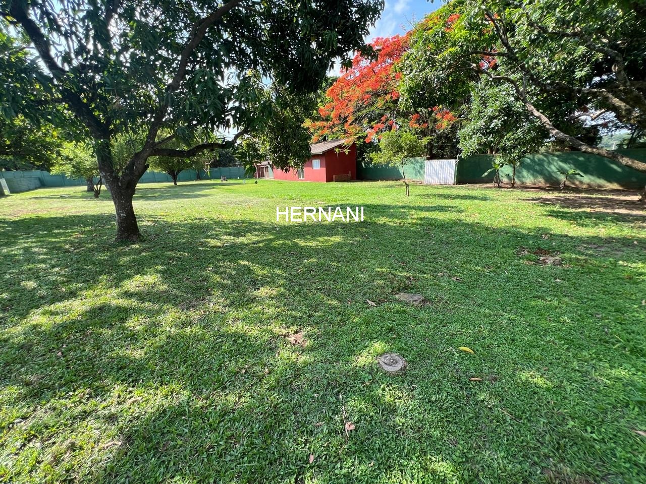 Chácara, 6 quartos, 5000 m² - Foto 6