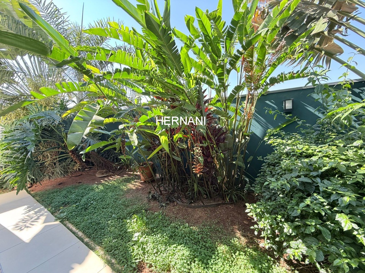 Casa, 3 quartos, 250 m² - Foto 43