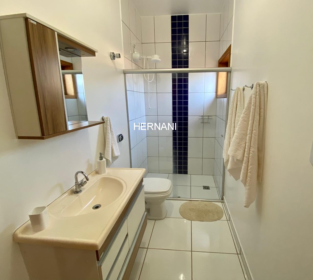 Casa, 4 quartos, 450 m² - Foto 3